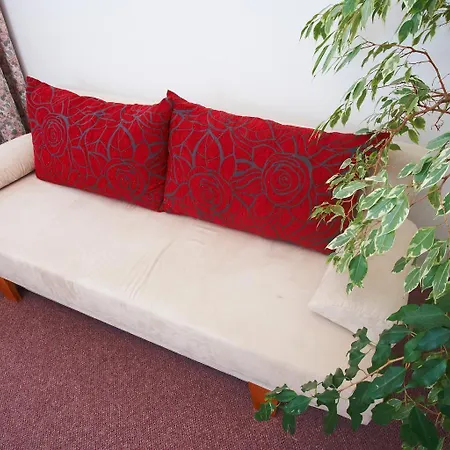 Wellness 3*